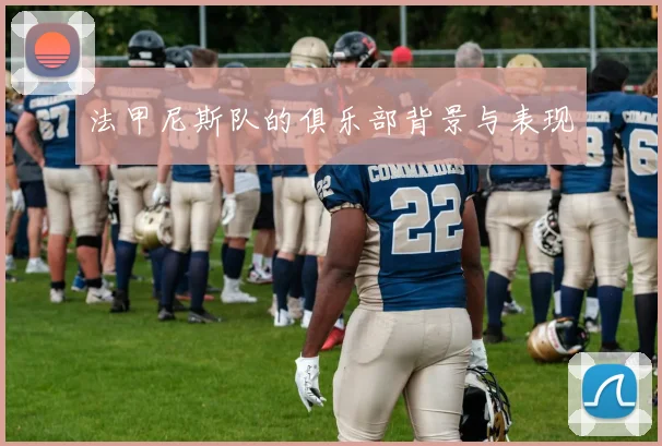 法甲尼斯队的俱乐部背景与表现