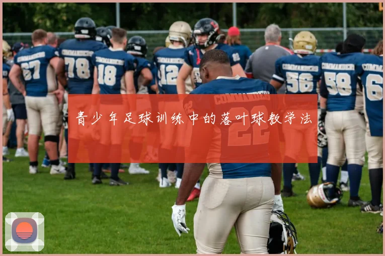 青少年足球训练中的落叶球教学法