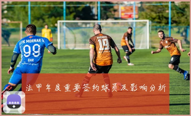 法甲年度重要签约球员及影响分析