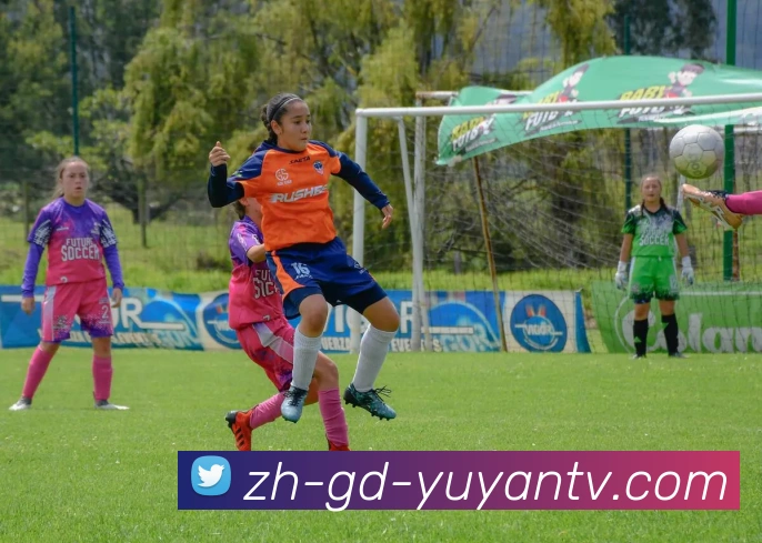 雨燕直播APP 封面图