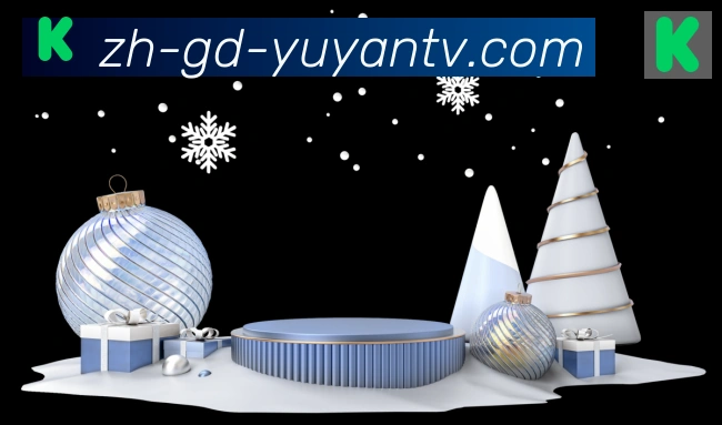 雨燕直播荣誉
